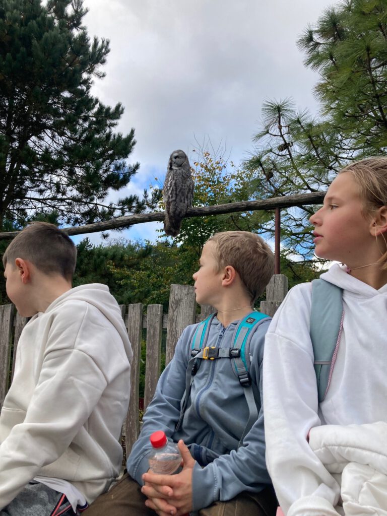 Wandertag Vogelpark Marlow, 16. Oktober 2025